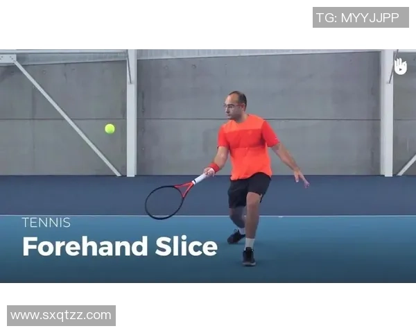 深入分析上海网球队区域防守战术的特点与应用策略